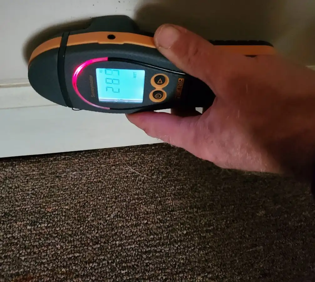 Moisture detection at baseboard during Sewage Cleanup & Sanitation in Carbondale